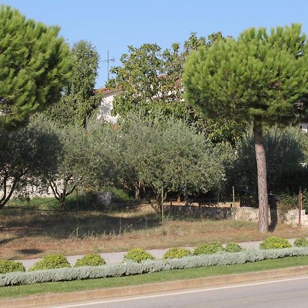 Apartments And Rooms With Parking Space Rovinj - 7170 المظهر الخارجي الصورة