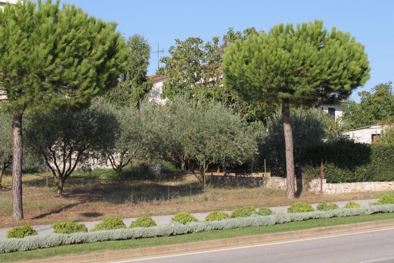 Apartments And Rooms With Parking Space Rovinj - 7170 المظهر الخارجي الصورة